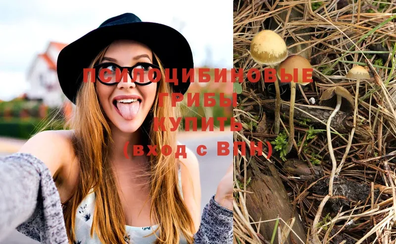 Галлюциногенные грибы Magic Shrooms  Кудымкар 